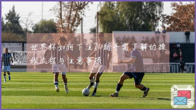 世界杯如何下注?新手需了解的操作流程与注意事项